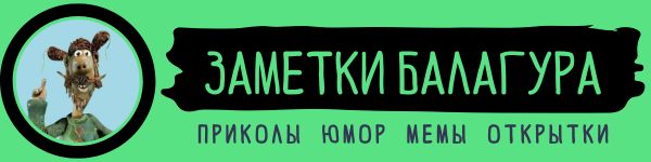 logo1